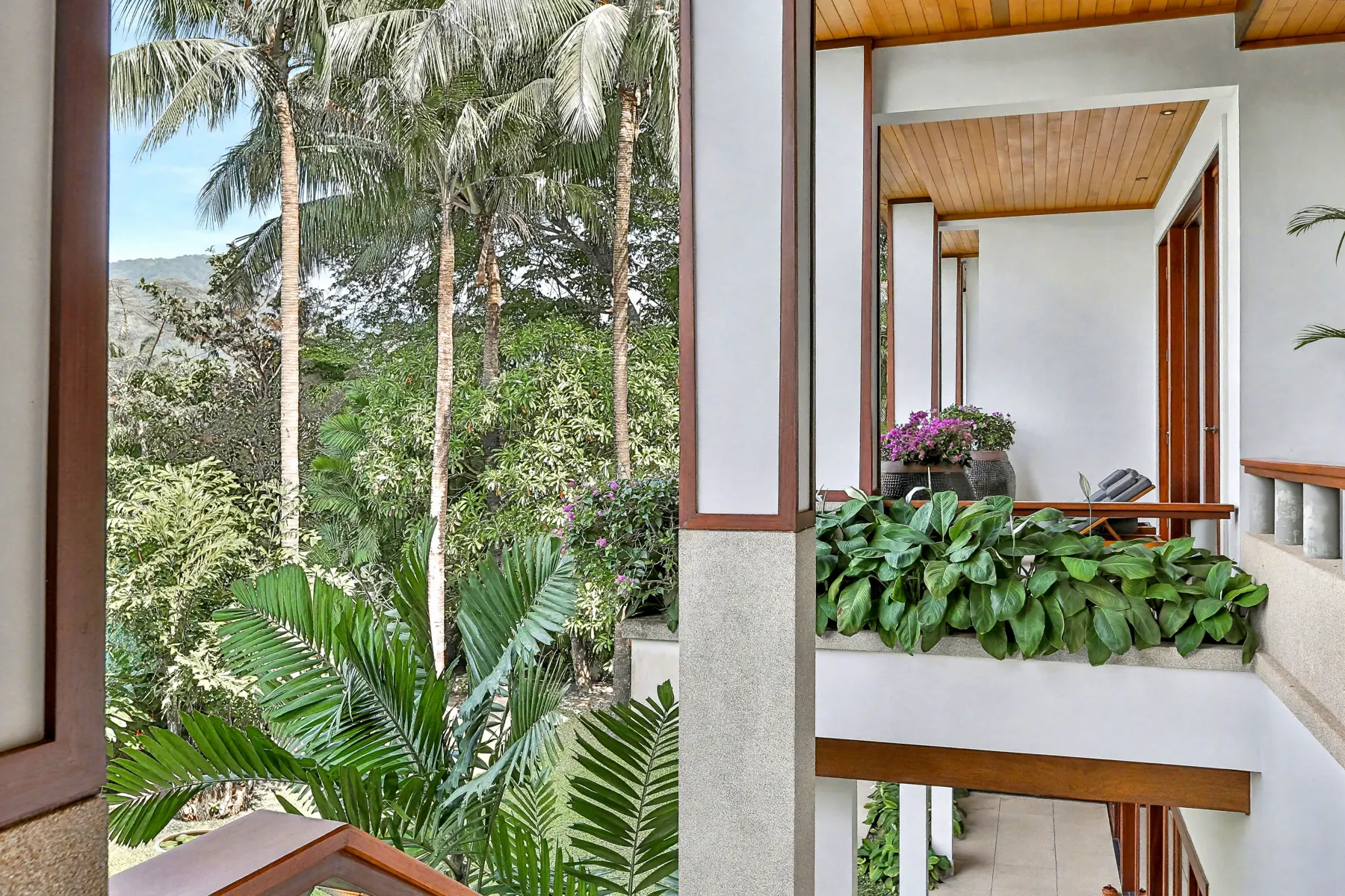 Tropical garden view from level 2